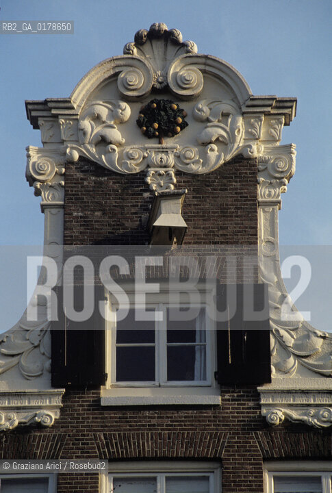 OLANDA , AMSTERDAM : CASA  -  © 2002 Graziano Arici/Rosebud2 / GEO / ALBERO