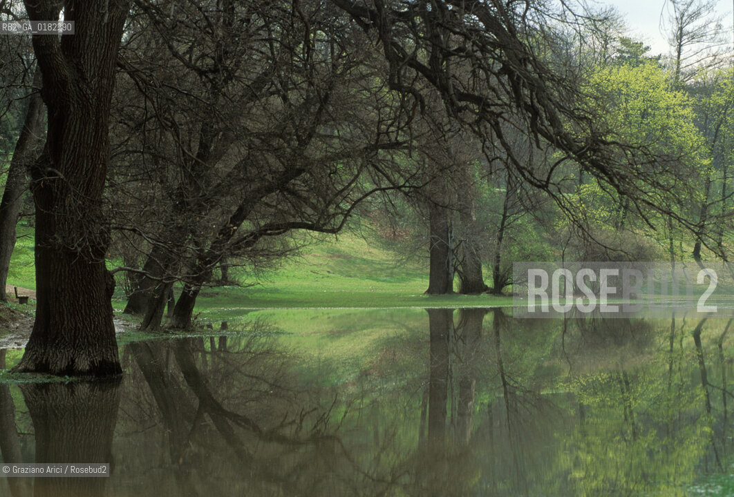 GERMANIA (TURINGIA) WEIMAR  :PARK AN DER LIM   - © 1994 Graziano Arici/Rosebud2 / GEO / LETTERATURA