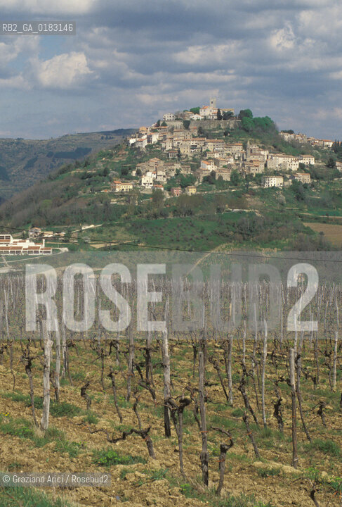 ( CROAZIA  ) ISTRIA - MONTONA ( MOTOVUN ) : PANORAMA CON VIGNA - © 2001 Graziano Arici/Rosebud2 / GEO / LINGUA / MINORANZA