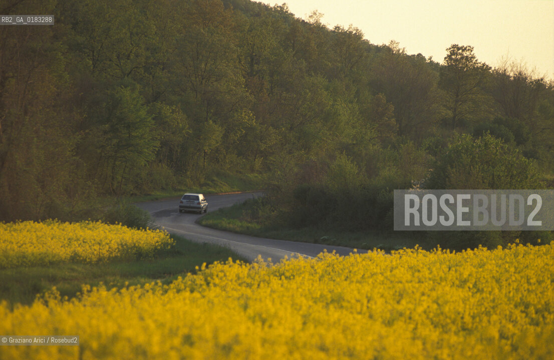 ( CROAZIA  ) ISTRIA -  PANORAMA   - © 2001 Graziano Arici/Rosebud2 / GEO / LINGUA / MINORANZA / GIALLO