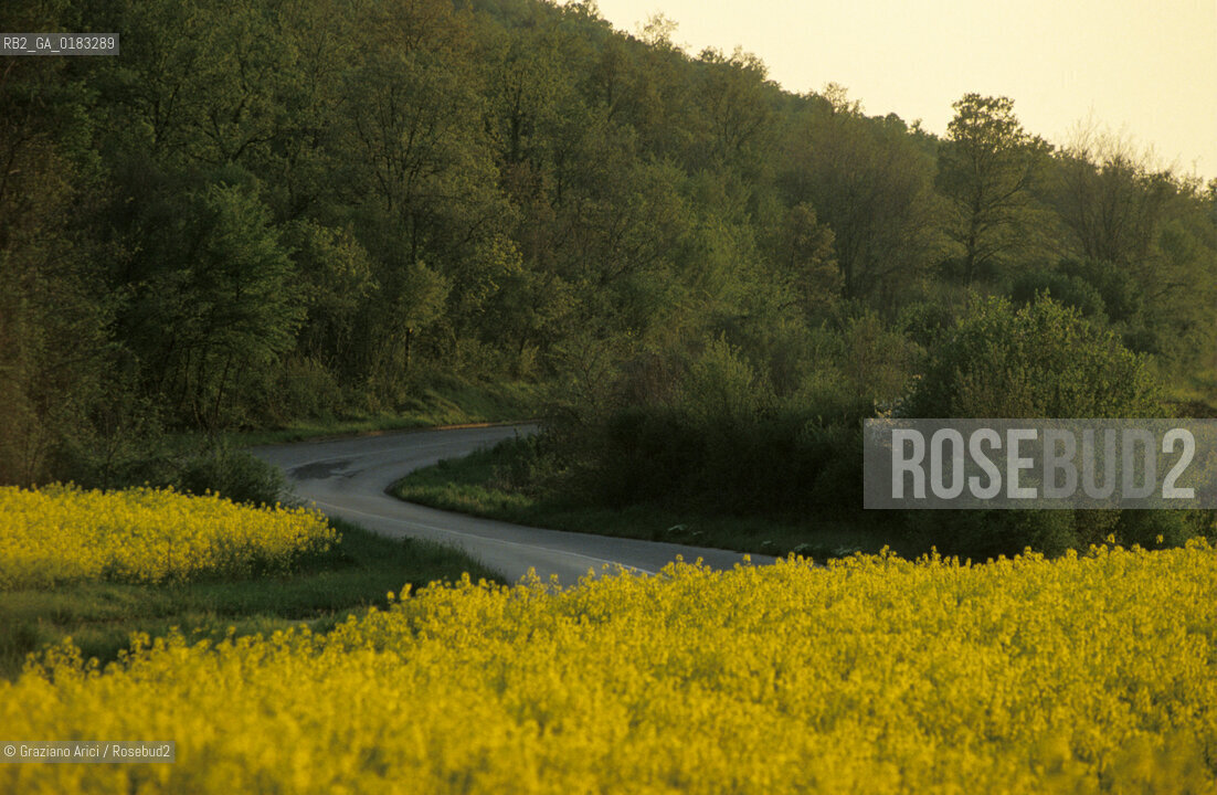 ( CROAZIA  ) ISTRIA -  PANORAMA   - © 2001 Graziano Arici/Rosebud2 / GEO / LINGUA / MINORANZA / GIALLO