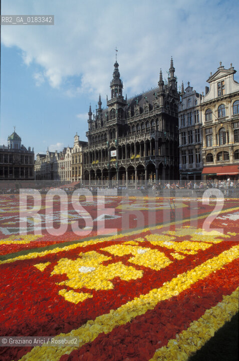 ( BELGIO ) BRUXELLES ( BRUSSEL ) : TAPPETO DI FIORI SULLA GRAND-PLACE   - © 2001 Graziano Arici/Rosebud2 / GEO