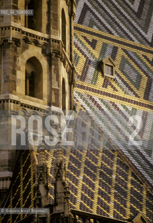( AUSTRIA ) VIENNA ( WIEN ) : TETTO DEL  DUOMO DI S.STEFANO  - © 2001 Graziano Arici/Rosebud2 / GEO