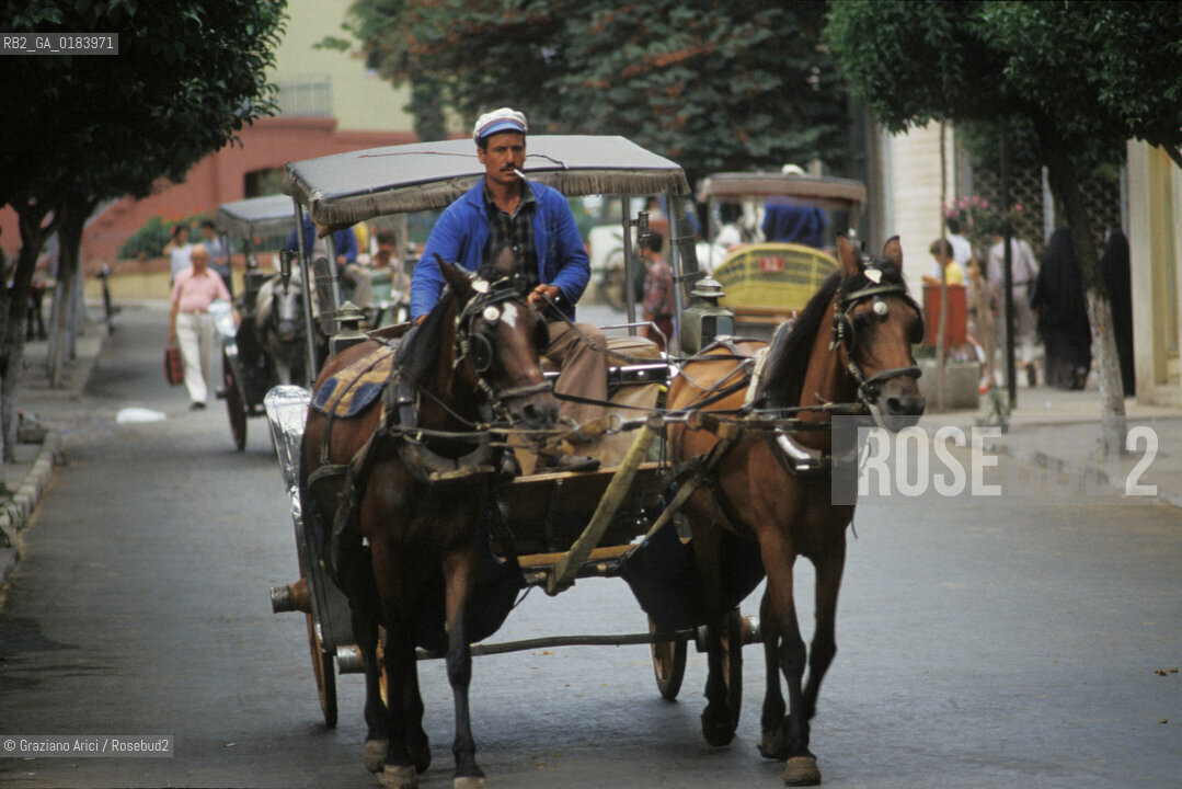 ( TURCHIA ) ISTANBUL : BOSFORO - ISOLE DEI PRINCIPI  - CARROZZA  - © 1986 Graziano Arici/Rosebud2 / GEO /