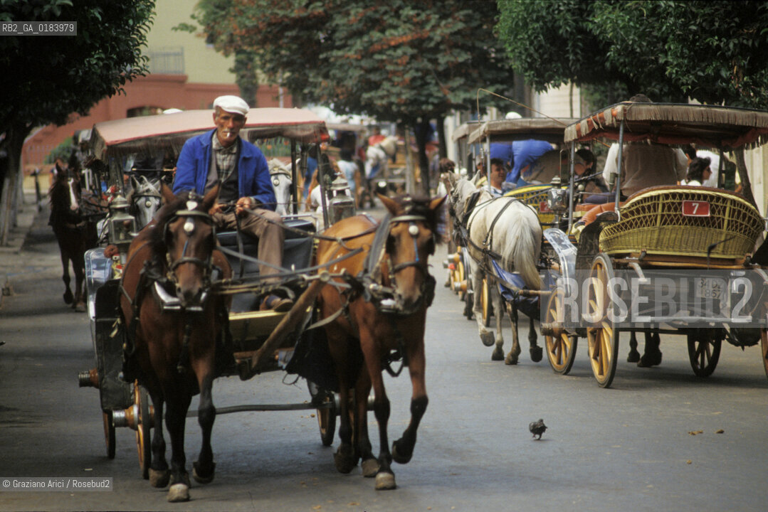 ( TURCHIA ) ISTANBUL : BOSFORO - ISOLE DEI PRINCIPI  - CARROZZE  - © 1986 Graziano Arici/Rosebud2 / GEO /
