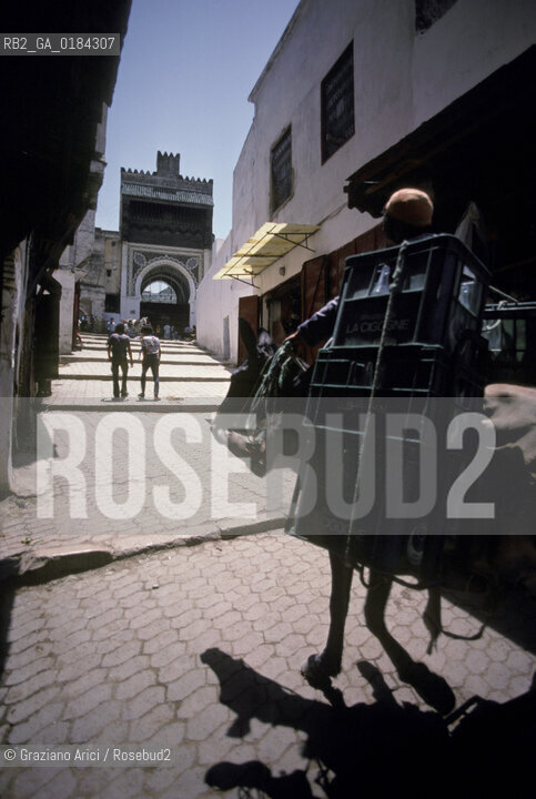 ( MAROCCO ) FEZ : STRADA DELLA MEDINA - FES EL BALI  - © 1996 Graziano Arici/Rosebud2 / GEO