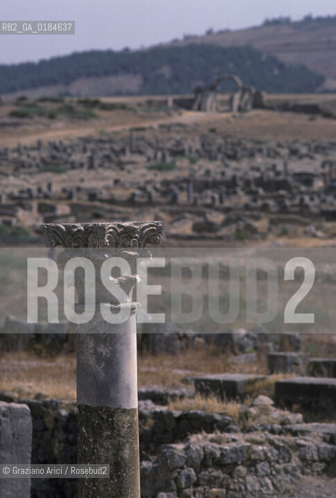( MAROCCO ) SITO ARCHEOLOGICO DI VOLUBILIS   - © 1996 Graziano Arici/Rosebud2 / GEO /