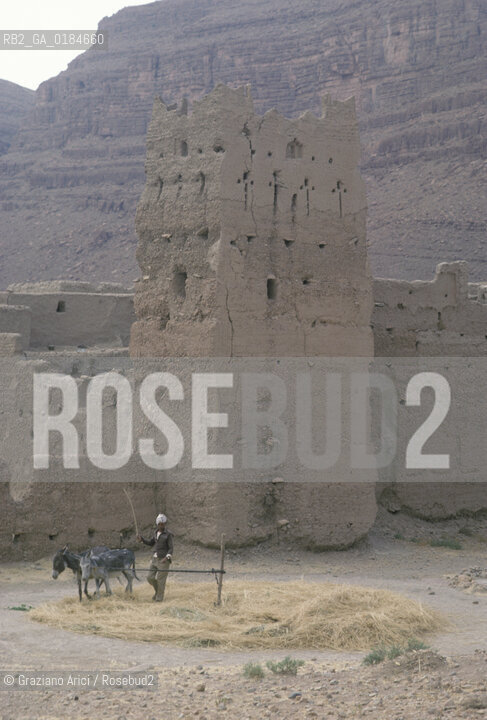 ( MAROCCO ) MAROCCO DEL SUD :IL MASSICCIO DELLATLANTE NEI DITORNI DI  ER-RACHIDIA   - © 1996 Graziano Arici/Rosebud2 / GEO / GRANO