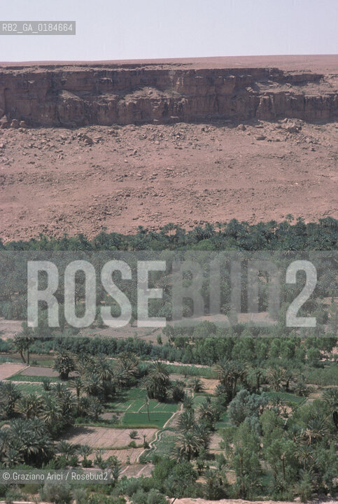 ( MAROCCO ) MAROCCO DEL SUD : ZONA PRESEDERTICA DEL TAFILALET   - © 1996 Graziano Arici/Rosebud2 / GEO / OASI