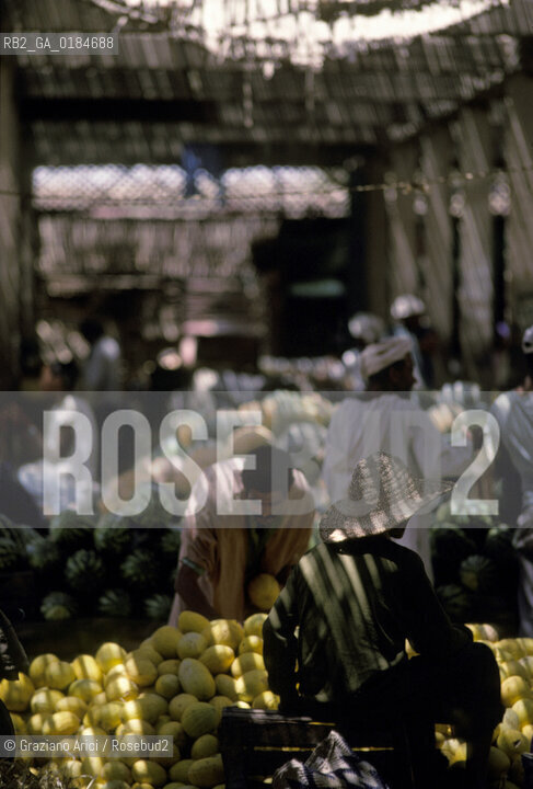 ( MAROCCO ) MAROCCO DEL SUD : ZONA PRESEDERTICA DEL TAFILALET  - OASI DI RISSANI - © 1996 Graziano Arici/Rosebud2 / GEO / MERCATO