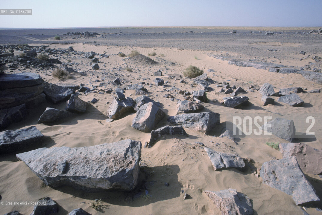 ( MAROCCO ) MAROCCO DEL SUD : ZONA PRESEDERTICA DEL TAFILALET  - OASI DI RISSANI - © 1996 Graziano Arici/Rosebud2 / GEO / ERG CHEBBI /
