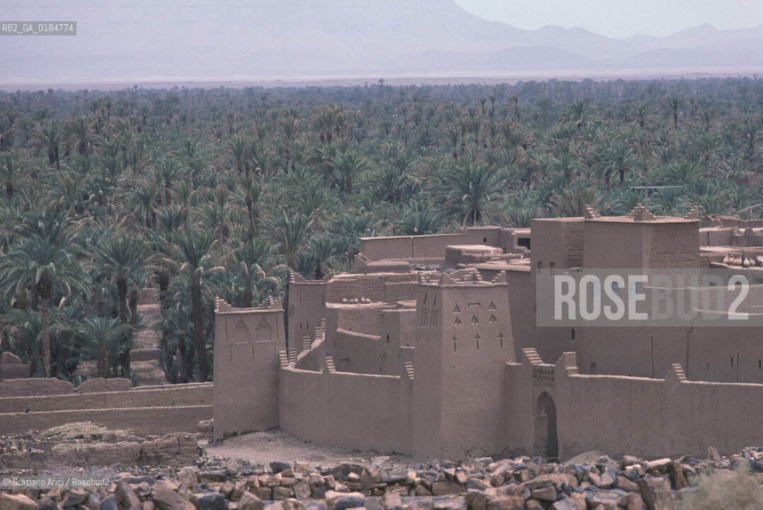 ( MAROCCO ) SUD DEL MAROCCO : VALLE DEL DRAA  - © 1996 Graziano Arici/Rosebud2 / GEO
