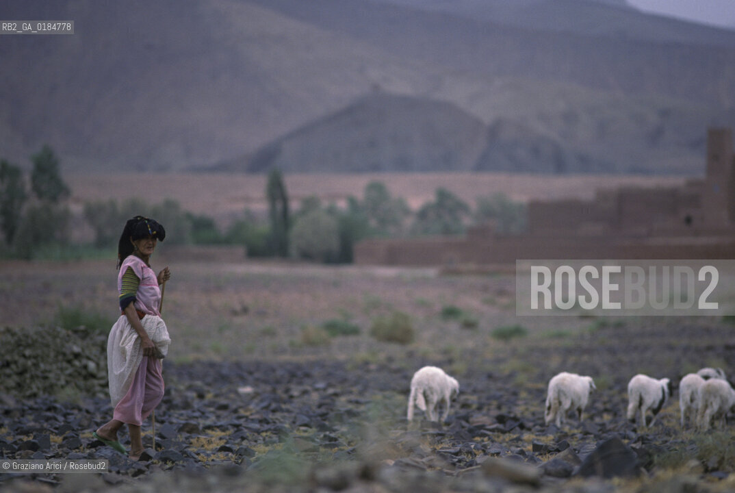 ( MAROCCO ) SUD DEL MAROCCO : VALLE DEL DRAA  - © 1996 Graziano Arici/Rosebud2 / GEO