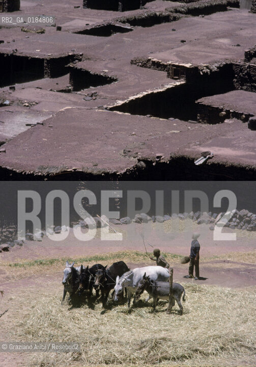 ( MAROCCO ) ALTO ATLANTE : BATTITURA DEL GRANO IN UN VILLAGGIO  - © 1996 Graziano Arici/Rosebud2 / GEO
