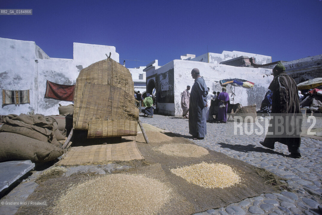 ( MAROCCO ) COSTA ATLANTICA : MERCATO DI ESSAOUIRA - © 1996 Graziano Arici/Rosebud2 / GEO