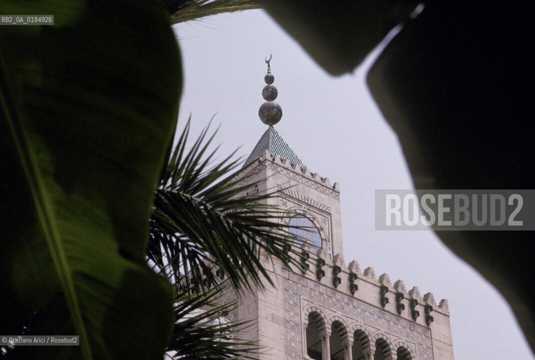( TUNISIA ) TUNISI : LA GRANDE MOSCHEA  - © 1996 Graziano Arici/Rosebud2 / GEO /
