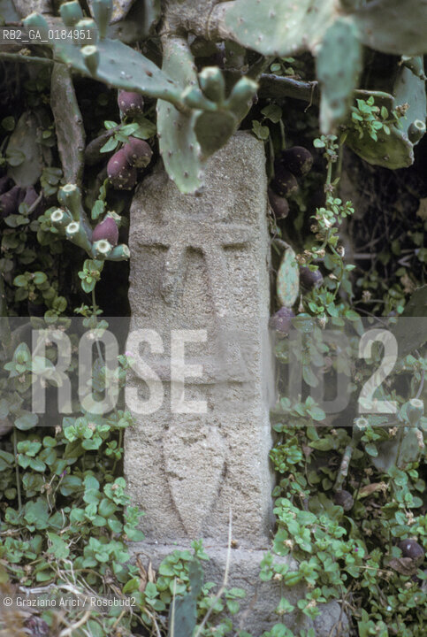 ( TUNISIA ) SCAVI ARCHEOLOGICI DI CARTAGINE : IL TOPHET  - © 1996 Graziano Arici/Rosebud2 / GEO / CIMITERO