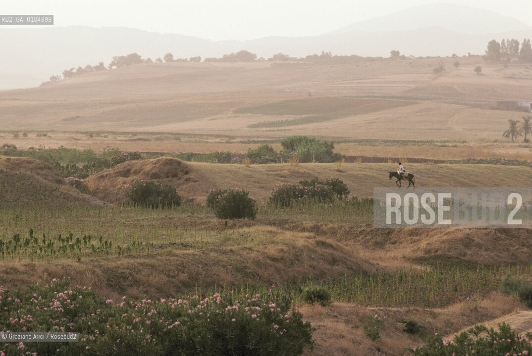 ( TUNISIA ) REGIONE DI  BISERTA  - © 1996 Graziano Arici/Rosebud2 / GEO