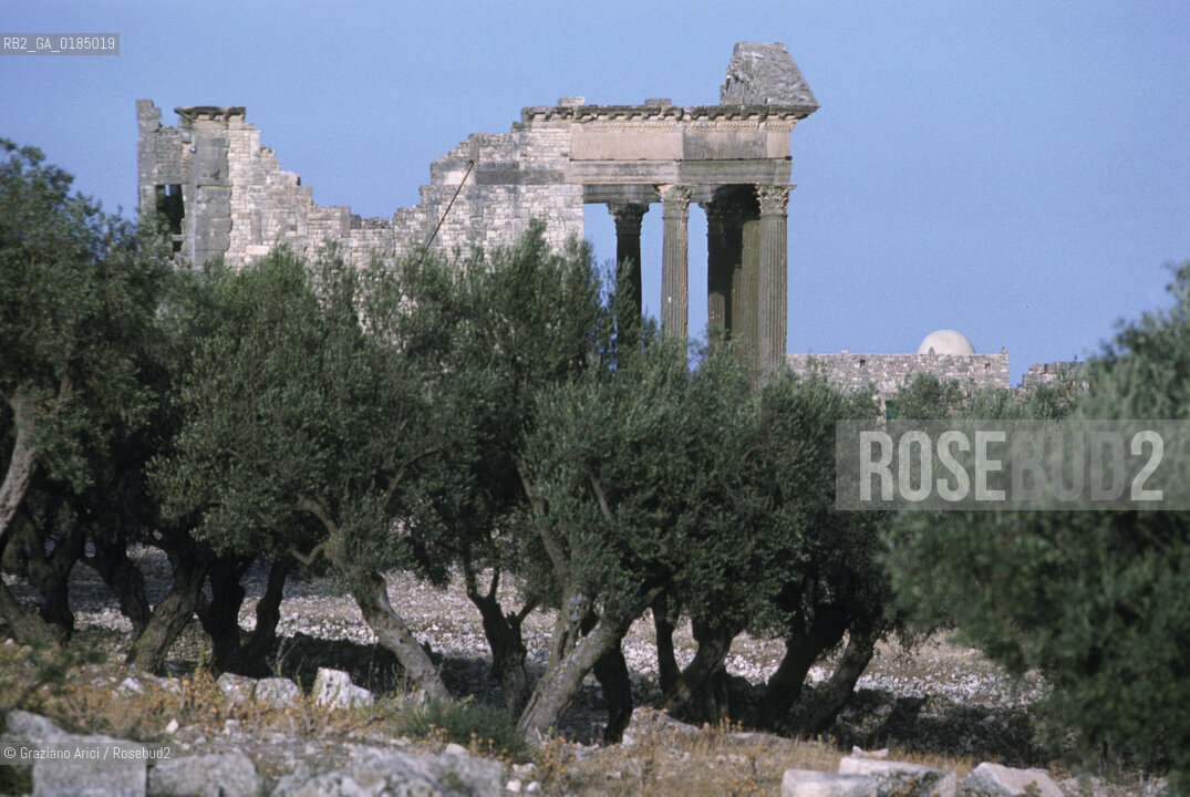 ( TUNISIA ) SITO ARCHEOLOGICO DI DOUGGA  - © 1996 Graziano Arici/Rosebud2 / GEO