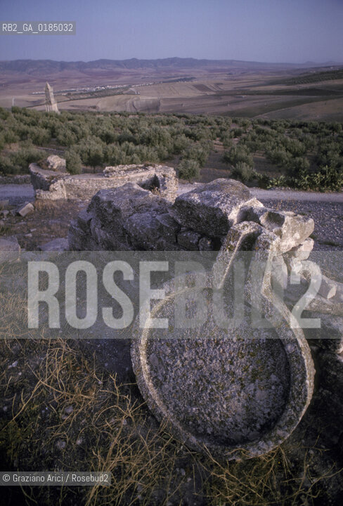 ( TUNISIA ) SITO ARCHEOLOGICO DI DOUGGA  - © 1996 Graziano Arici/Rosebud2 / GEO / OLIO