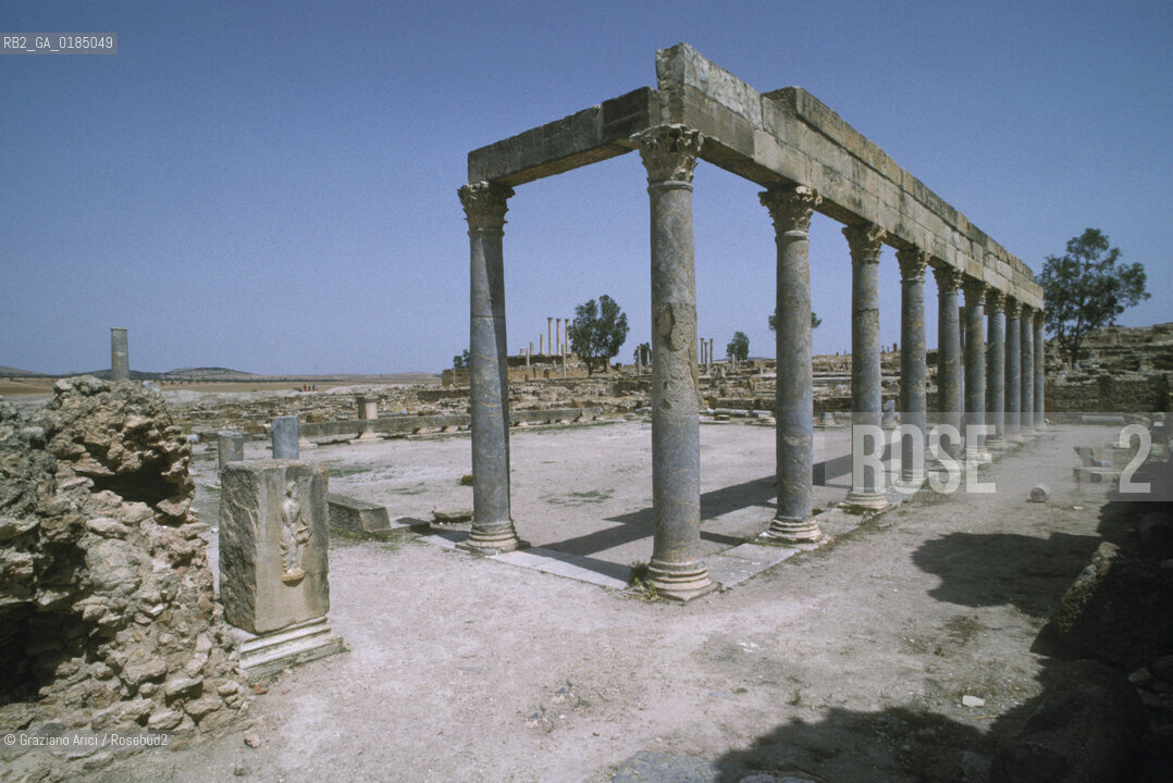 ( TUNISIA ) SITO ARCHEOLOGICO DI THUBURBO MAGNUS - © 1996 Graziano Arici/Rosebud2 / GEO
