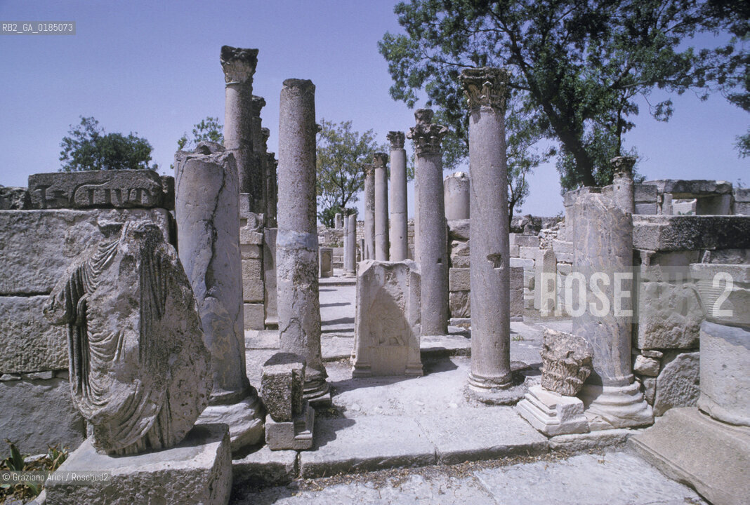 ( TUNISIA ) SITO ARCHEOLOGICO DI  MAKTAR - © 1996 Graziano Arici/Rosebud2 / GEO