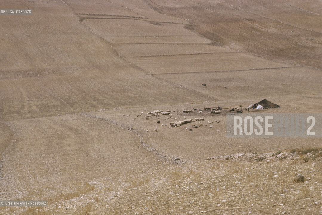 ( TUNISIA ) SITO ARCHEOLOGICO DI  MAKTAR : TENDE DI BERBERI NOMADI - © 1996 Graziano Arici/Rosebud2 / GEO