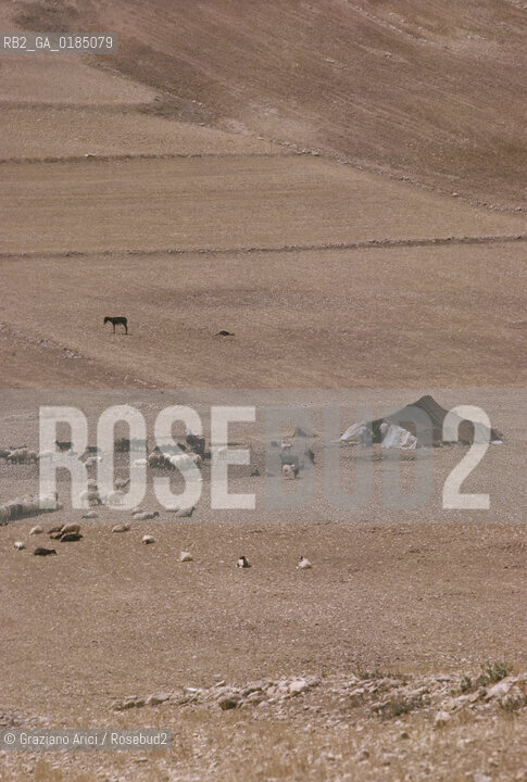 ( TUNISIA ) SITO ARCHEOLOGICO DI  MAKTAR : TENDE DI BERBERI NOMADI - © 1996 Graziano Arici/Rosebud2 / GEO