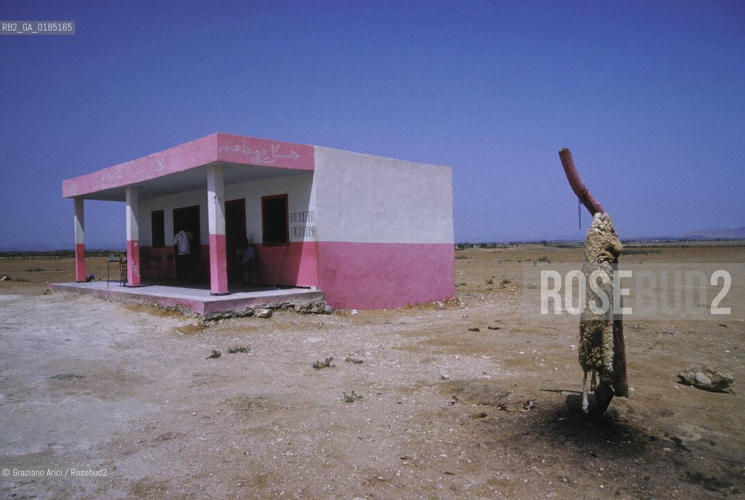 ( TUNISIA )  OASI  DI NEFTA - © 1996 Graziano Arici/Rosebud2 / GEO / MACELLERIA