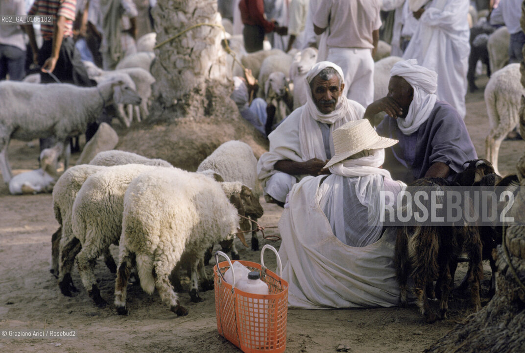( TUNISIA )  MERCATO NELLOASI DI DOUZ  - © 1996 Graziano Arici/Rosebud2 / GEO /