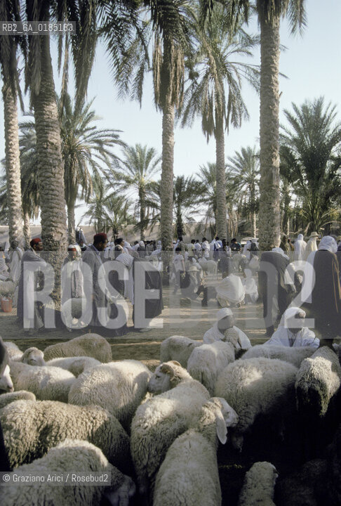 ( TUNISIA )  MERCATO NELLOASI DI DOUZ  - © 1996 Graziano Arici/Rosebud2 / GEO /