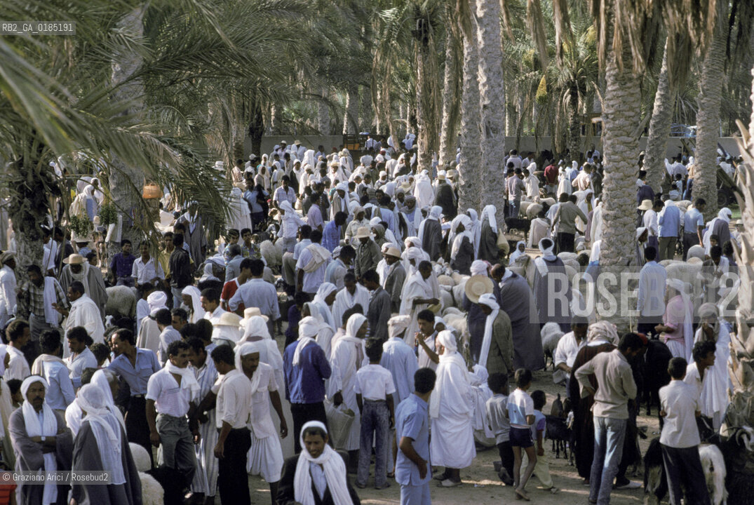 ( TUNISIA )  MERCATO NELLOASI DI DOUZ  - © 1996 Graziano Arici/Rosebud2 / GEO /