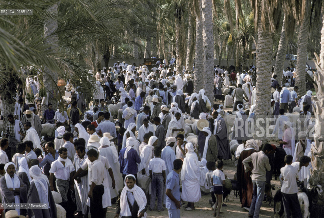 ( TUNISIA )  MERCATO NELLOASI DI DOUZ  - © 1996 Graziano Arici/Rosebud2 / GEO