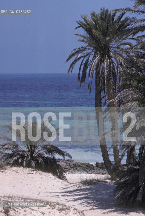 ( TUNISIA )  ISOLA DJERBA ( JERBA ) : SPIAGGIA - © 1996 Graziano Arici/Rosebud2 / GEO