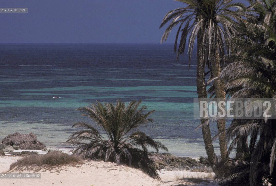 ( TUNISIA )  ISOLA DJERBA ( JERBA ) : SPIAGGIA - © 1996 Graziano Arici/Rosebud2 / GEO