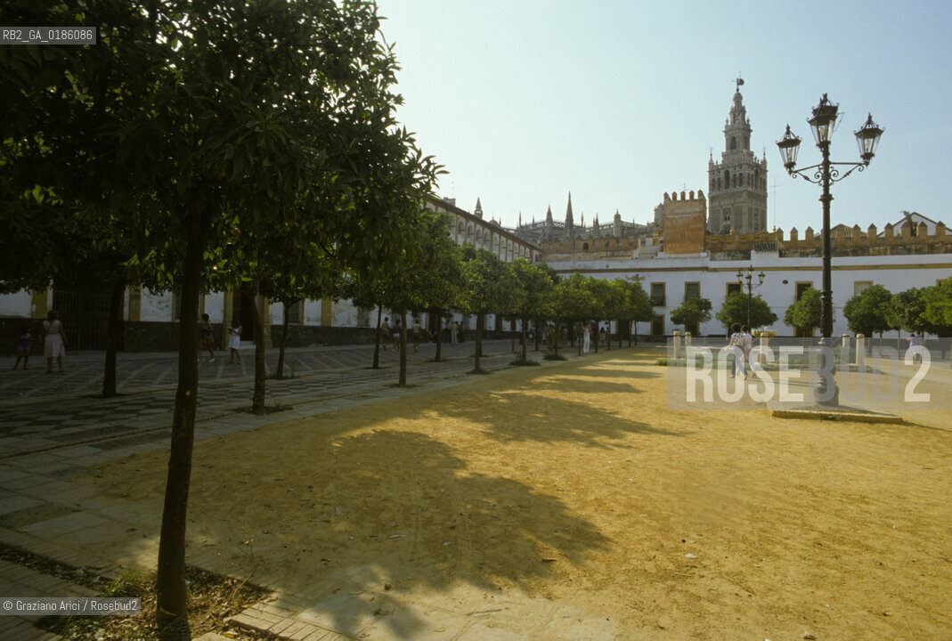 ( SPAGNA  ) ANDALUSIA  SIVIGLIA  : CATTEDRALE PATIO DE LOS NARANJOS ( ARANCI )    © 1980 Graziano Arici/Rosebud2 / GEO