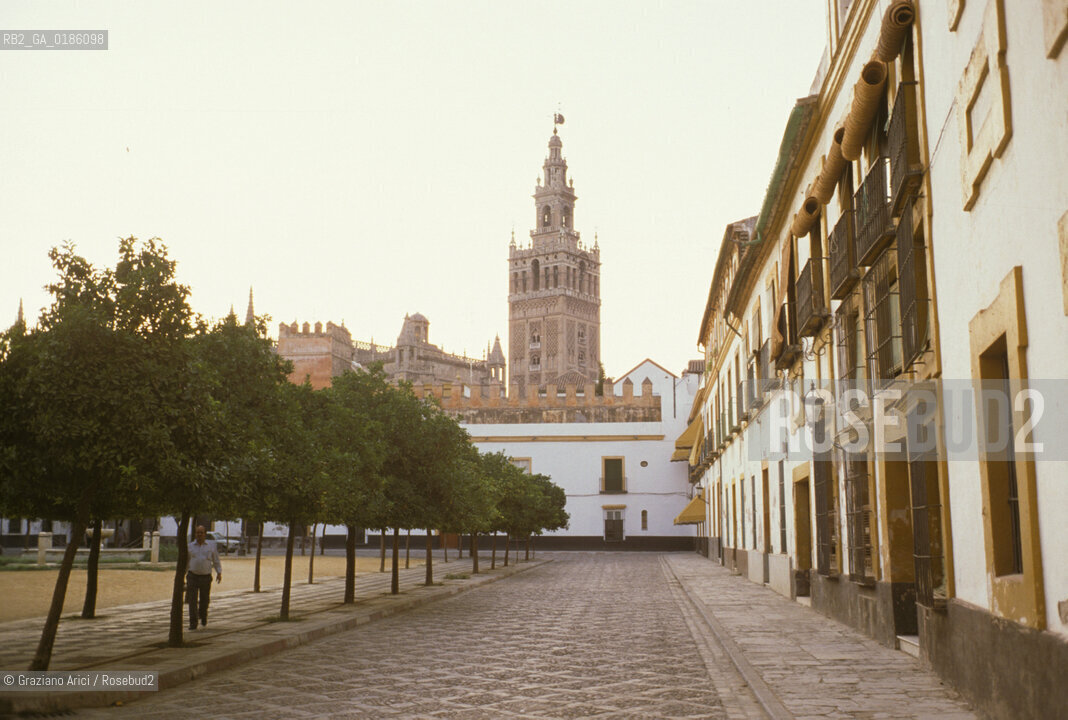 ( SPAGNA  ) ANDALUSIA  SIVIGLIA  : LA CATTEDRALE PATIO DE LOS  NARANJOS ( ARANCI )   © 1980 Graziano Arici/Rosebud2 / GEO