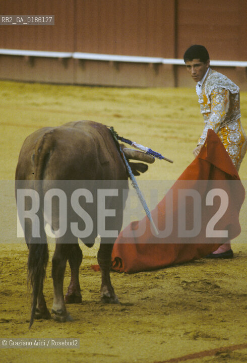 ( SPAGNA  ) ANDALUSIA  SIVIGLIA  : ARENA LA CORRIDA   © 1980 Graziano Arici/Rosebud2 / GEO
