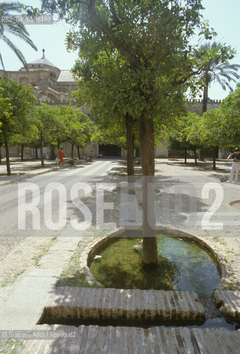 ( SPAGNA  ) ANDALUSIA  CORDOVA ( CORDOBA )  : MOSCHEA CATTEDRALE  PATIO DE LOSO ANARAJOS ( ARANCI )  © 1980 Graziano Arici/Rosebud2 / GEO ARCHITETTURA ARABO ANDALUSA