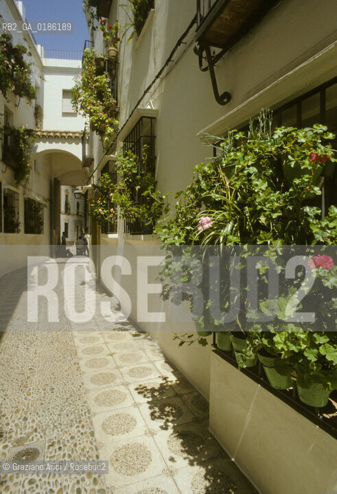 ( SPAGNA  ) ANDALUSIA  CORDOVA ( CORDOBA )  : BARRIO DE LA JUDERIA   © 1980 Graziano Arici/Rosebud2 / GEO EBREI