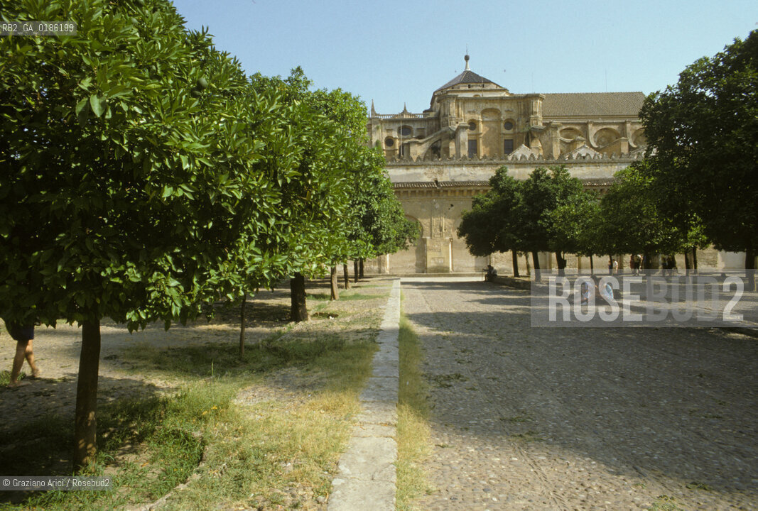 ( SPAGNA  ) ANDALUSIA  CORDOVA ( CORDOBA )  : MOSCHEA CATTEDRALE  PATIO DE LOSO ANARAJOS ( ARANCI )  © 1980 Graziano Arici/Rosebud2 / GEO ARCHITETTURA ARABO ANDALUSA