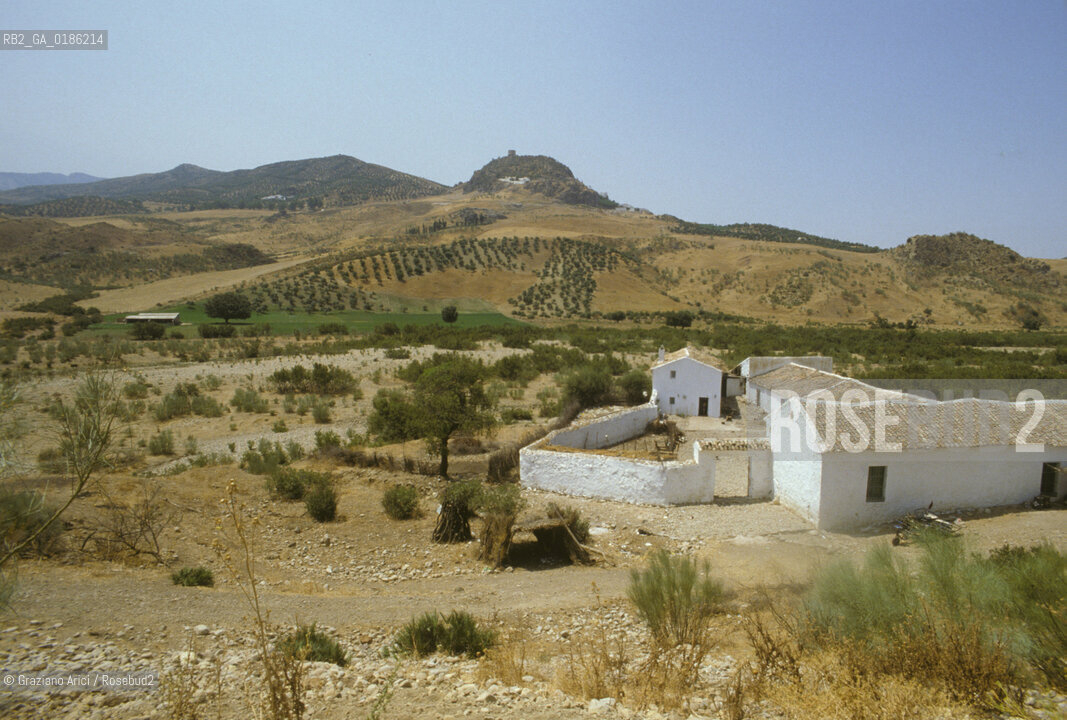 ( SPAGNA  ) ANDALUSIA  FATTORIA © 1980 Graziano Arici/Rosebud2 / GEO