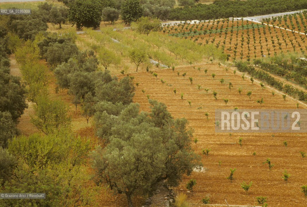 ( SPAGNA  ) CASTIGLIA CAMPAGNA © 1980 Graziano Arici/Rosebud2 / GEO