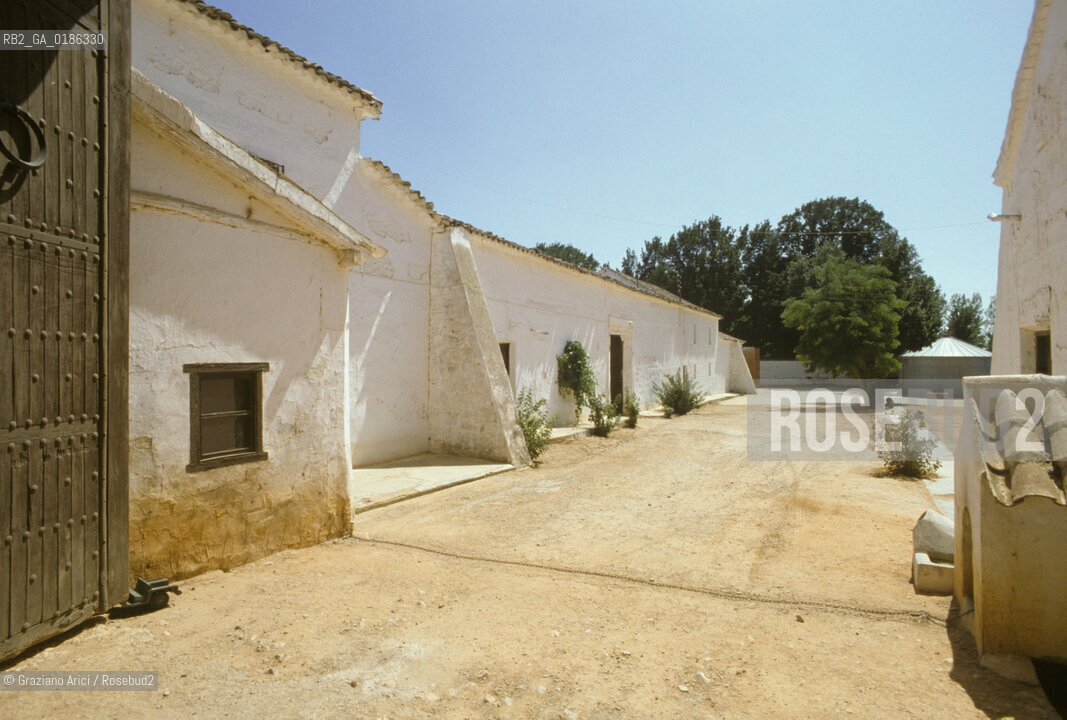 ( SPAGNA  ) MANCIA VENTA DEL TOBOSO DOVE DON CHISCIOTTE PASSO LA SUA VEGLI DARMI   © 1980 Graziano Arici/Rosebud2 / GEO LETTERATURA
