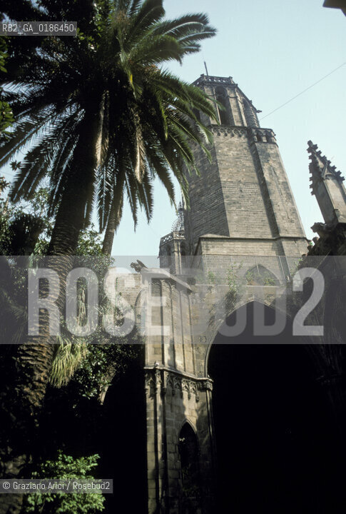 ( SPAGNA  ) CATALOGNA BARCELLONA :  LA CATTEDRALE   © 1990 Graziano Arici/Rosebud2 / GEO