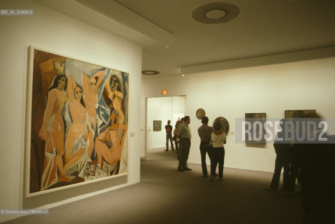 ( STATI UNITI DAMERICA - USA  ) NEW YORK CITY : THE MUSEUM OF MODERN ART ( MOMA ) - © 1986 Graziano Arici/Rosebud2 / GEO / MUSEO