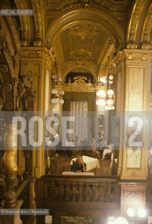 ( UNGHERIA  ) BUDAPEST : RISTORANTE HUNGARIA  © 2000 Graziano Arici/Rosebud2 / GEO
