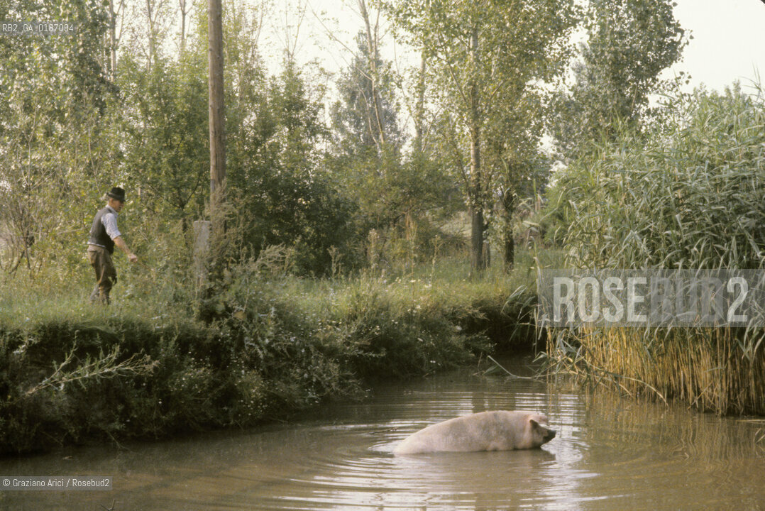 ( UNGHERIA  ) LA PUSZTA DI HORTOBAGY  CONTADINO CON MAIALE  © 2000 Graziano Arici/Rosebud2 / GEO