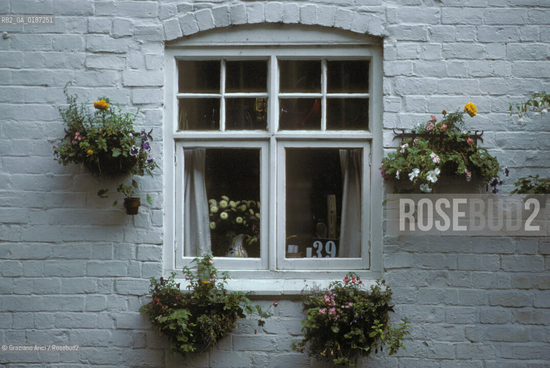 ( GRAN BRETAGNA  )  SALISBURY  : LA CATTEDRALE  © 1990 Graziano Arici/Rosebud2 / GEO / WILTSHIRE FINESTRA