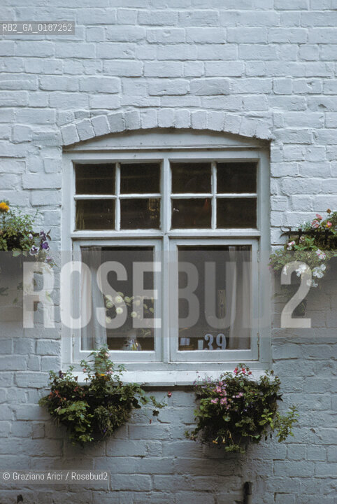 ( GRAN BRETAGNA  )  SALISBURY  : FINESTRA  © 1990 Graziano Arici/Rosebud2 / GEO / WILTSHIRE FIORI